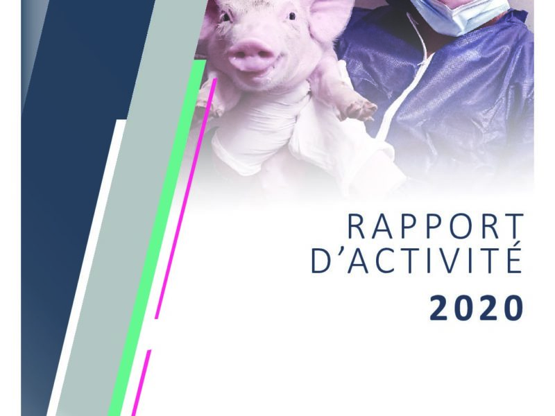 Rapport d’activités 2020