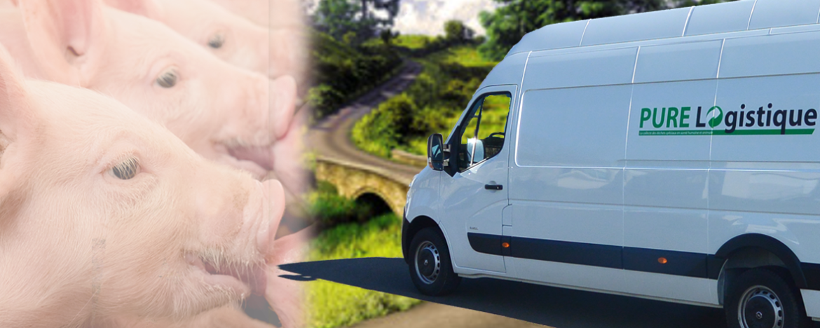 PURE LOGISTIQUE