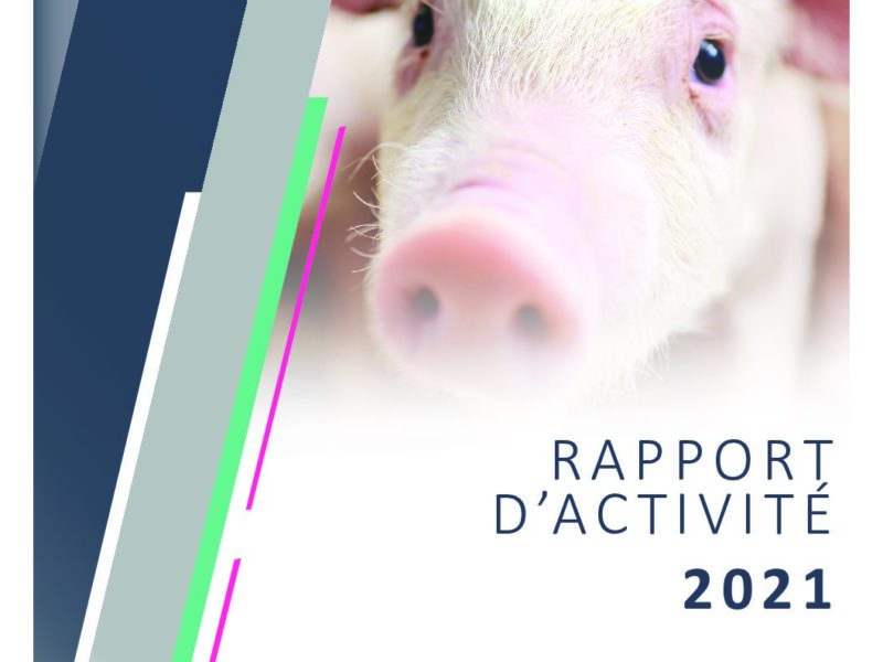 RAPPORT D’ACTIVITE 2021