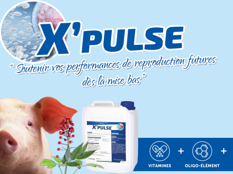 X’PULSE « Comment soutenir les performances de reproduction futures dès la mise-bas ?