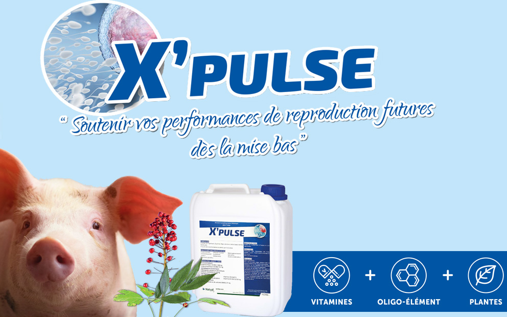 X’PULSE “Comment soutenir les performances de reproduction futures dès la mise-bas ?