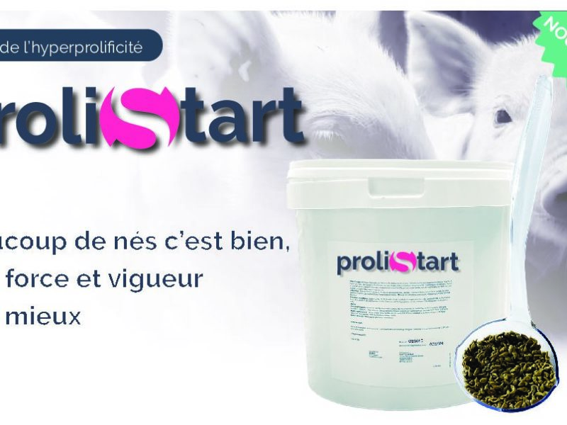 Prolistart : beaucoup de porcelets nés c’est bien, avec force et vigueur c’est mieux !