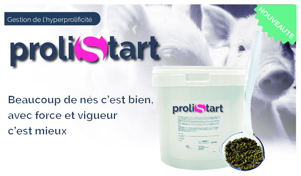 Prolistart : beaucoup de porcelets nés c’est bien, avec force et vigueur c’est mieux !