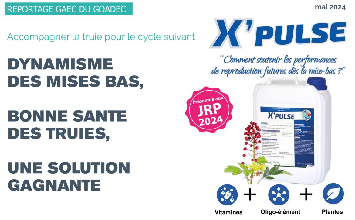 X’PULSE : accompagner la truie pour le cycle suivant