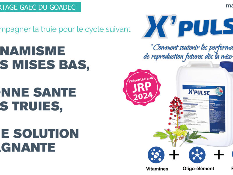 X’PULSE : accompagner la truie pour le cycle suivant