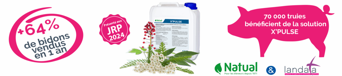 X’PULSE : un vrai ‘AVANT/APRES’ sur les mises bas et la fertilité