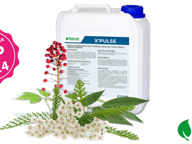 X’PULSE : un vrai ‘AVANT/APRES’ sur les mises bas et la fertilité