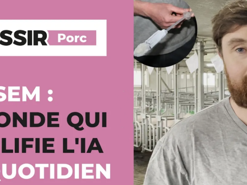 NEOSEM : la sonde qui simplifie l&rsquo;insémination artificielle porcine au quotidien